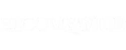 bloomandwild ecommerce seo