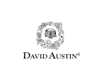 David Austin logo