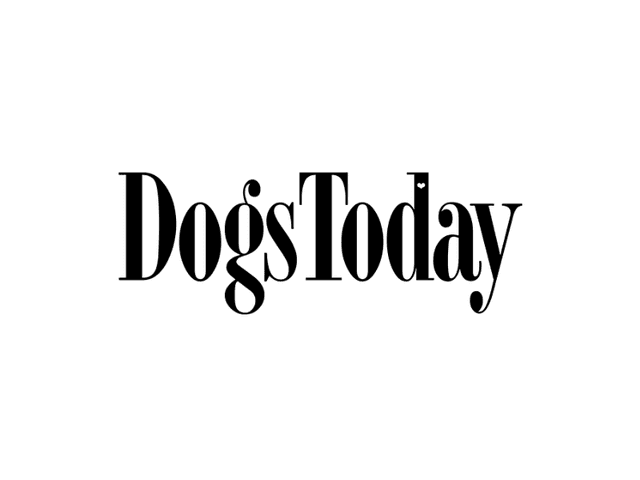 DogsToday logo