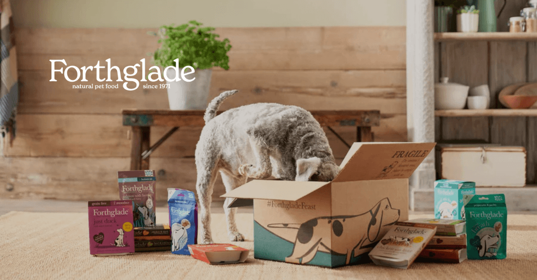 Forthglade case study