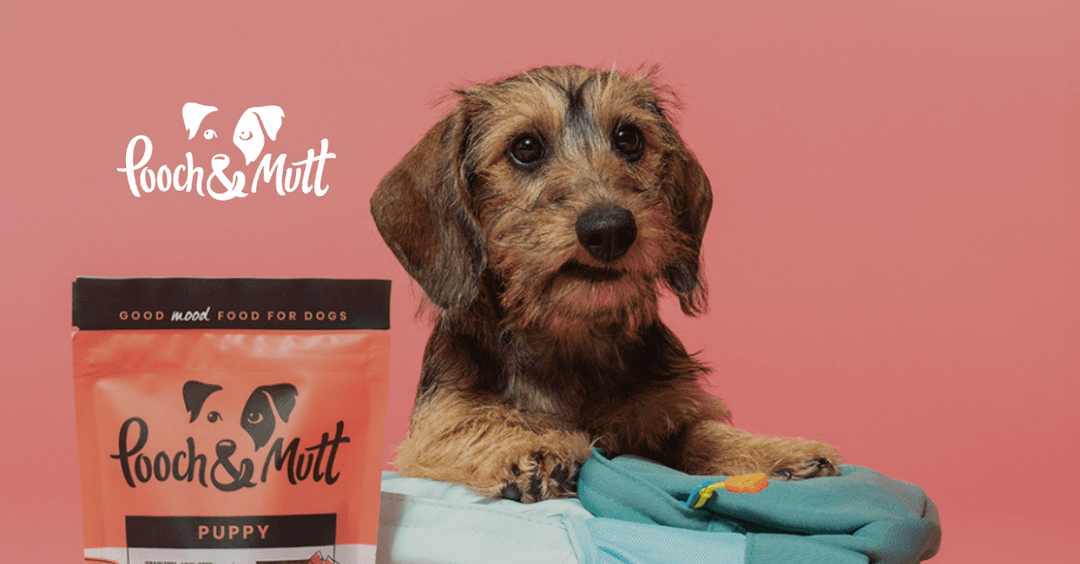 Pooch & Mutt case study